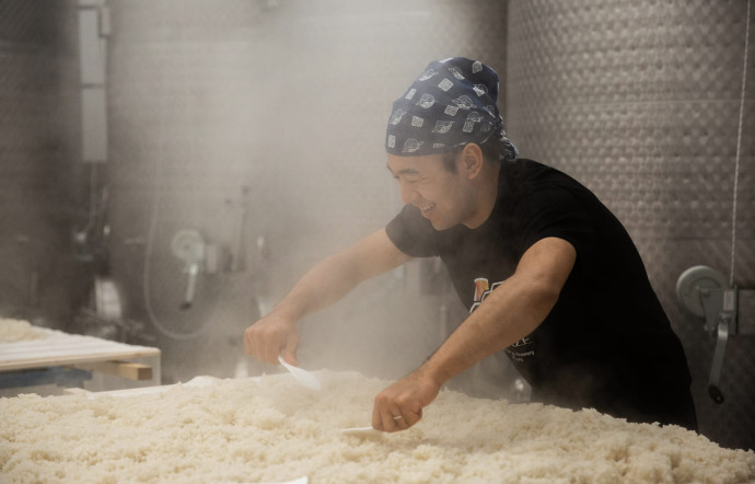 Un saké made in France à partir de riz camarguais. www.wakaze-sake.com/fr