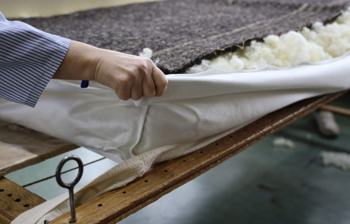 Pour le garnissage des matelas, les matelassiers utilisent de la pure laine vierge « fleur de France », provenant de moutons texel.