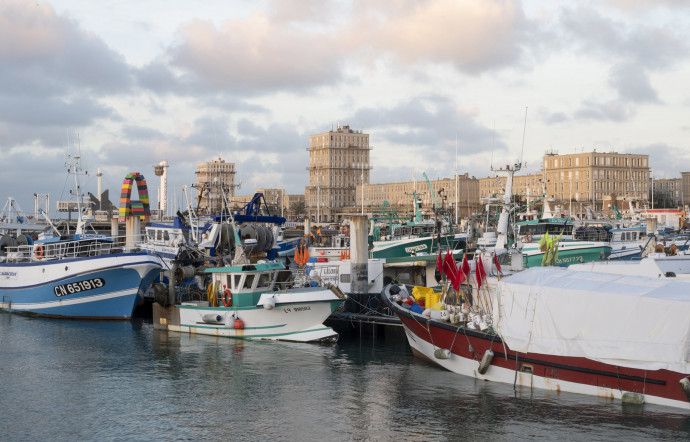 le-havre-port-ville-architecture-1-56