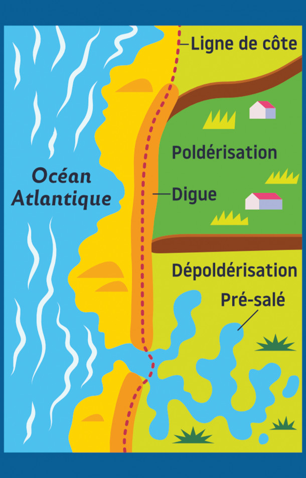 montee des eaux littoral rechauffement climatique - the good life