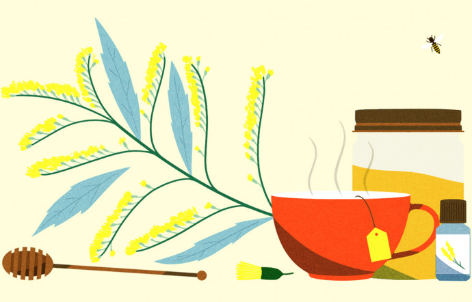 verge d'or plante medicinale - the good life