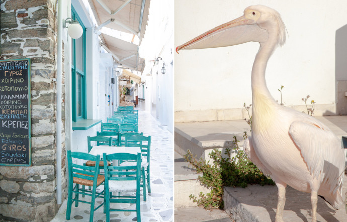 Contrairement à sa voisine Mykonos m’as-tu-vu et bruyante, Tinos cultive un charme discret.