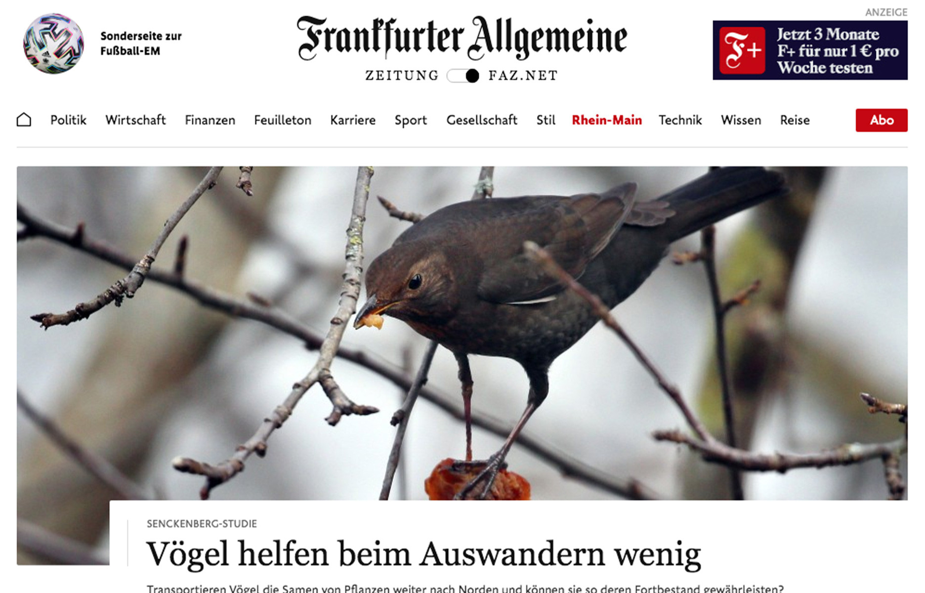 Cai Tore Philippsen Presse Francfort journaliste rédacteur chef allemagne - the good life