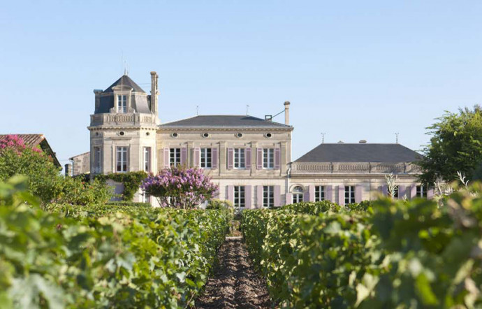 vins médoc - the good life