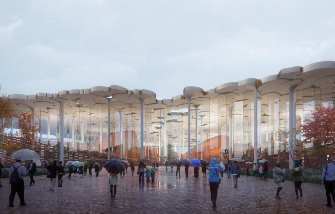 Snøhetta signe une spectaculaire bibliothèque « gingko » à Pékin architecture - the good life