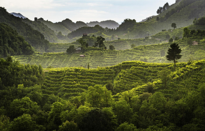 Vin insolent succès du prosecco en France - The Good Life