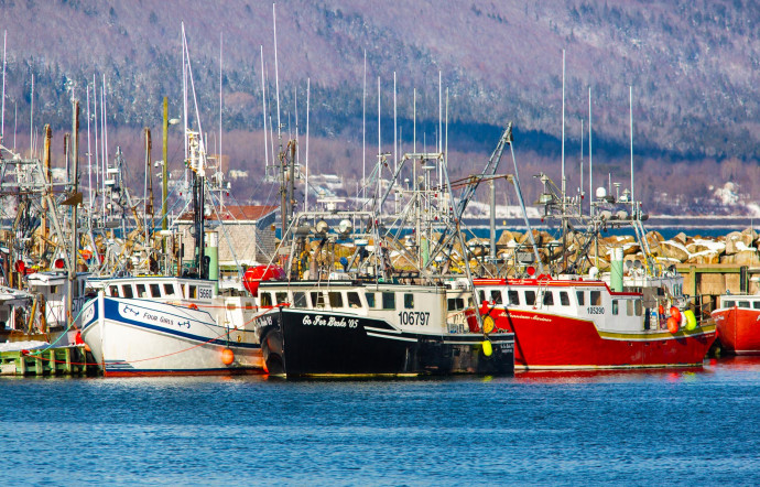 Le port de Digby.