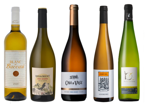vins atlantiques