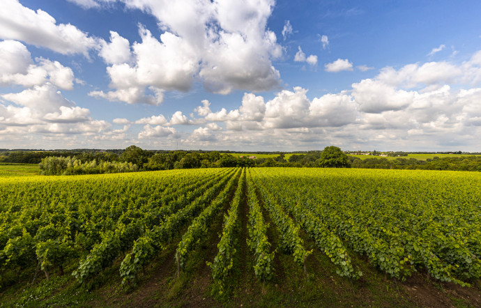 tgl-muscadet-france