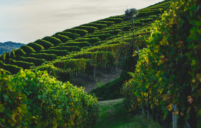 the-good-playlist-langhe-une