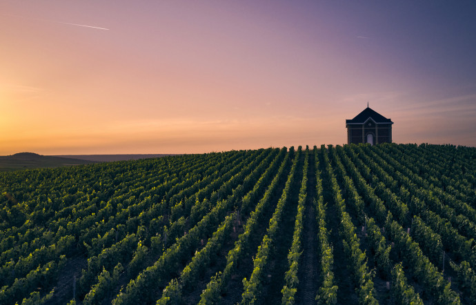 oenotourisme-champagne-the-good-life
