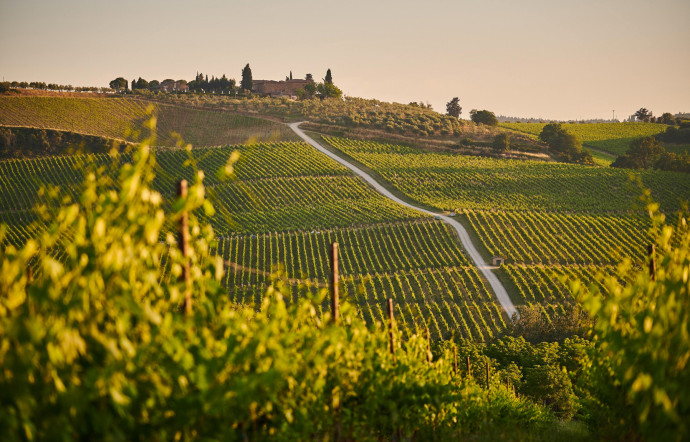 the-good-life-vignerons-featured-image