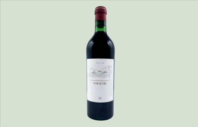 La bouteille Teroldego 2021 Appellation : Vigneti delle Dolomiti. Prix : 35 €. 