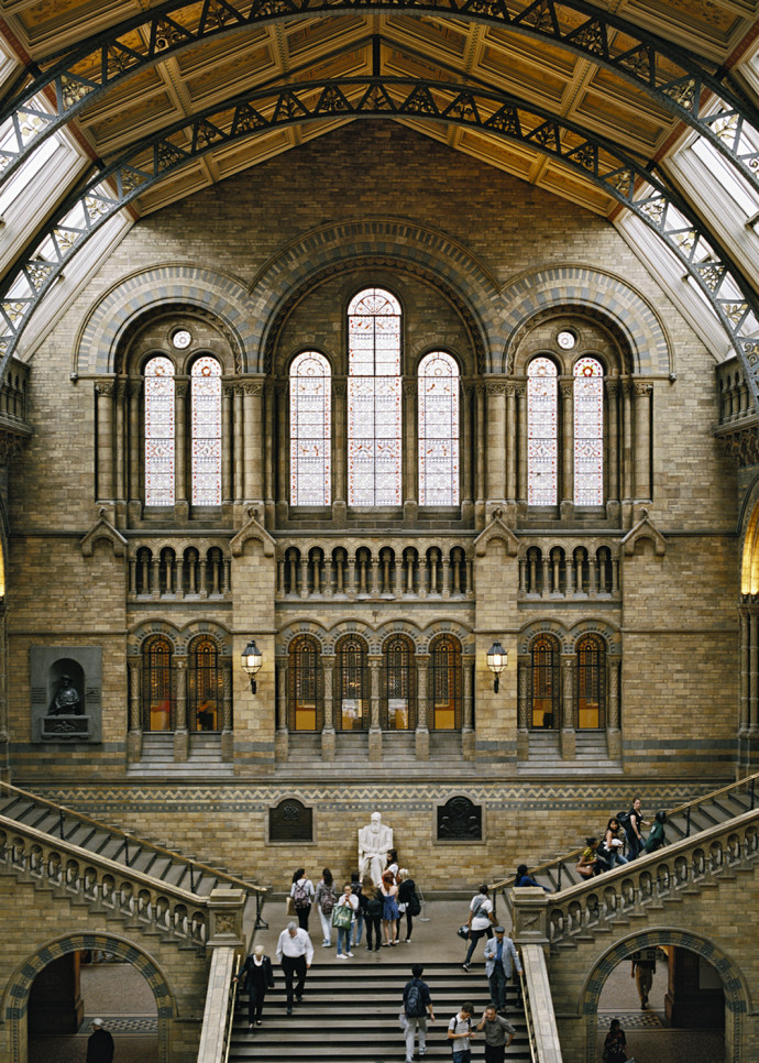 Musée d’histoire naturelle de Londres, 2009.