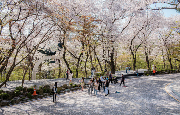 Ⓒ Kyung Hee University.