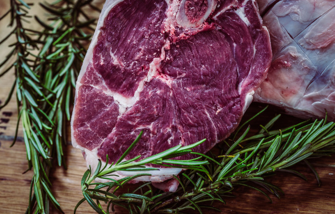 the-good-life-viande-cultivee-vignette_3744x2400