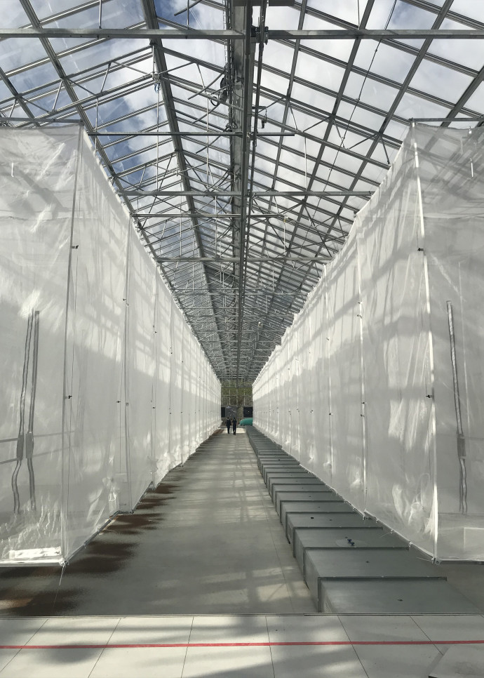 Innovafeed élève des larves d’insectes destinées à l’alimentation animale, sous forme de farine ou d’huile, mais aussi des fertilisants naturels.