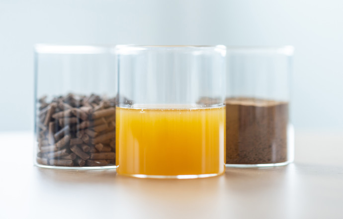 Innovafeed élève des larves d’insectes destinées à l’alimentation animale, sous forme de fertilisants naturels.