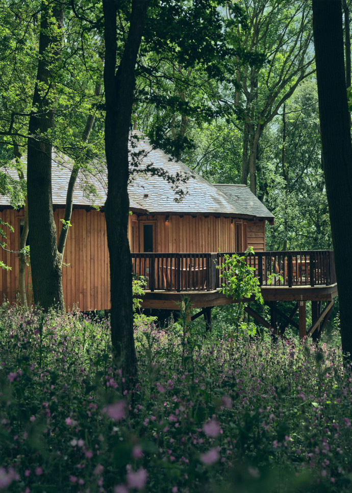 La treehouse de Wildhive Callow Hall.