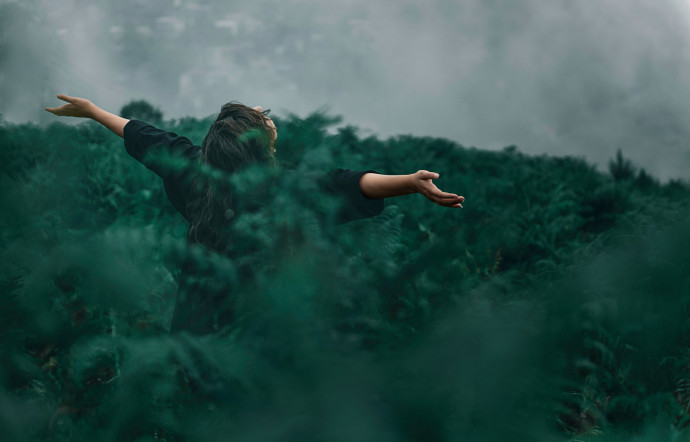 Ⓒ Kourosh Qaffari / Pexels.