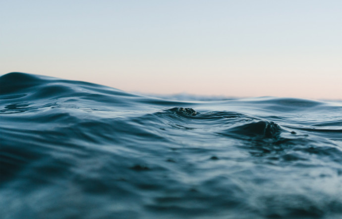 Les pieds sur terre et le regard porté vers le large, ces 9 personnalités ont tous la mer pour point d’ancrage de leurs projets durables., 2023 - TGL