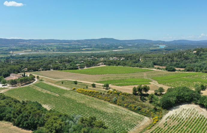 Faites voyager vos pupilles et vos papilles à la découverte des robes et arômes de rosés qui parlent d’ailleurs, 2023 - TGL