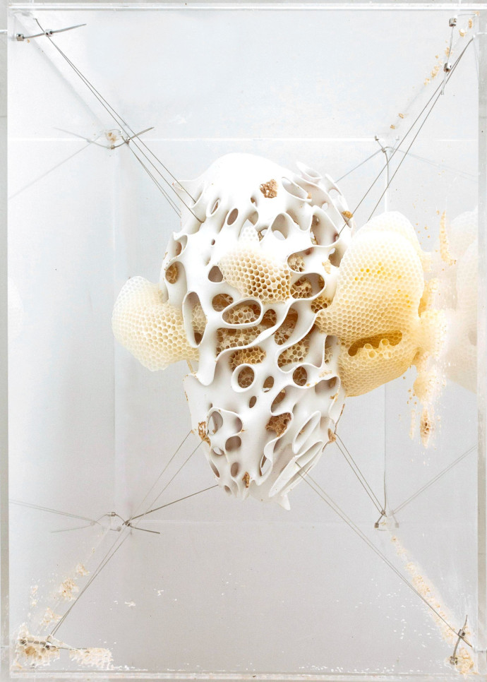L’oeuvre Apiary de Neri Oxman.