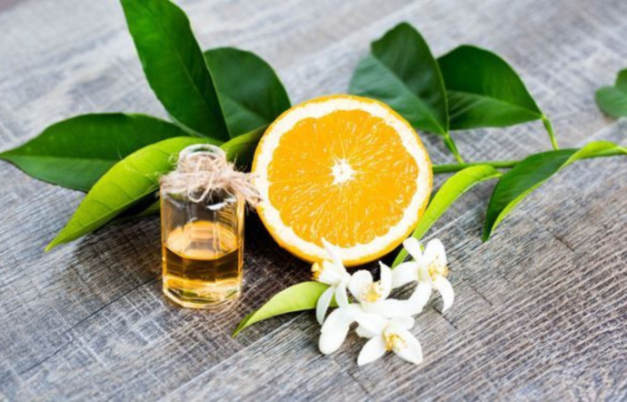 La fleur d’oranger met sa fraîcheur d’âme au service des hommes et bouleverse ainsi les codes, les rituels, les odeurs, 2023 - TGL