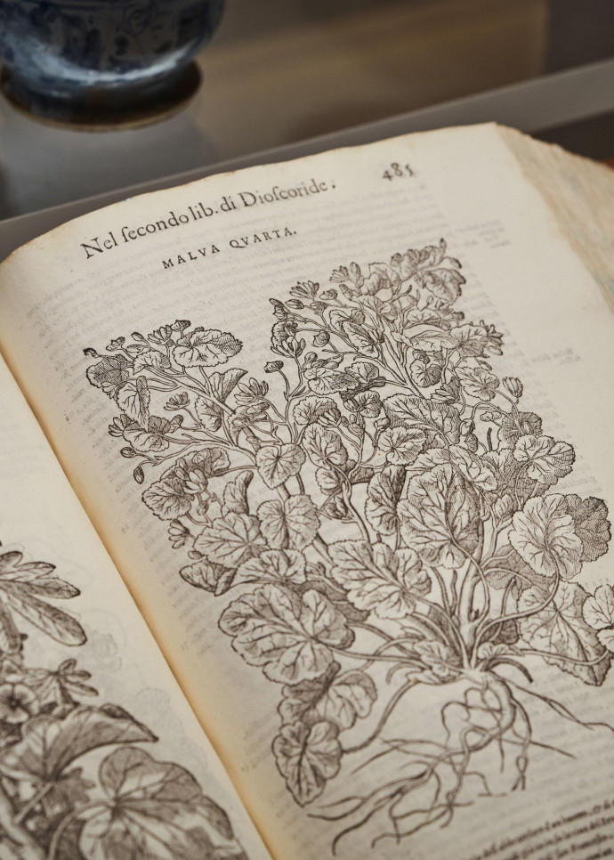 Santa Maria Novella recèle des trésors inestimables sur l’art de la parfumerie.