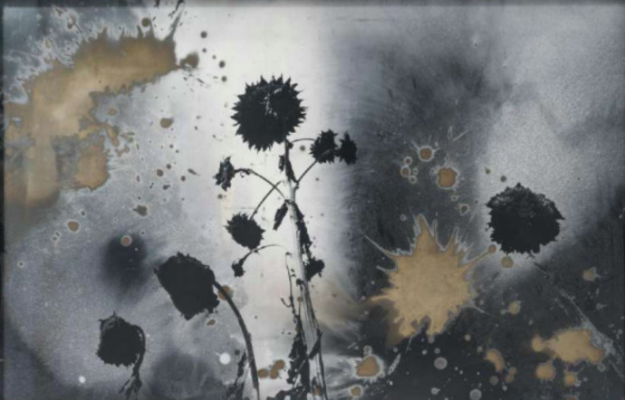Sonennblumen, 1994-2012.