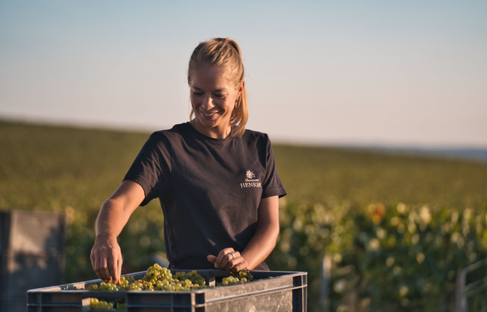 Elles sont de plus en plus nombreuses dans les maisons de champagne aux postes clés de direction ou de cheffe de caves, 2023 - TGL