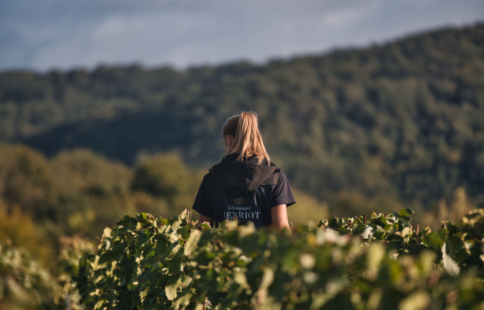 Alice Tétienne, directrice générale adjointe de la maison Henriot, est la plus jeune cheffe de caves de Champagne.