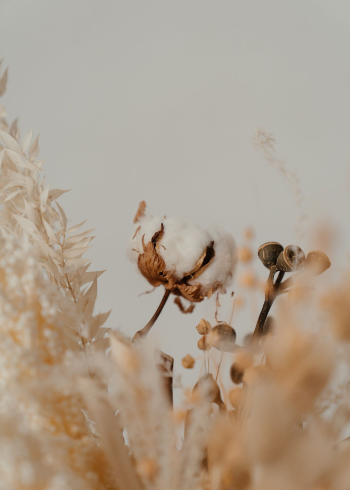 La question de l’écologie se pose, bien sûr, de façon plus générale. 