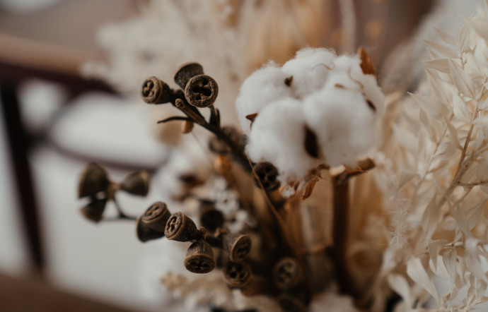 À Tachkent, la fleur de coton s’invite partout. À croire qu’elle a pris la clé des champs pour goûter aux joies de la ville, 2023 - TGL