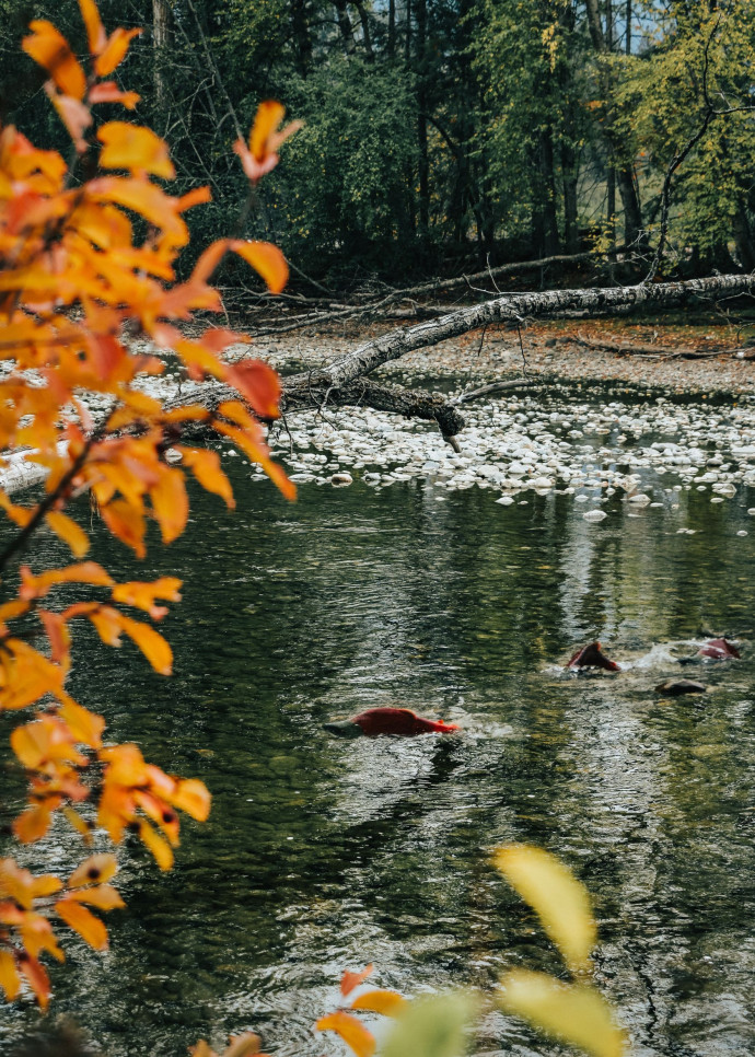L’entreprise de pêche réunionnaise Sapmer connaît à ce moment un changement de direction, mais la nouvelle équipe ne voit pas d’un très bon œil l’initiative.