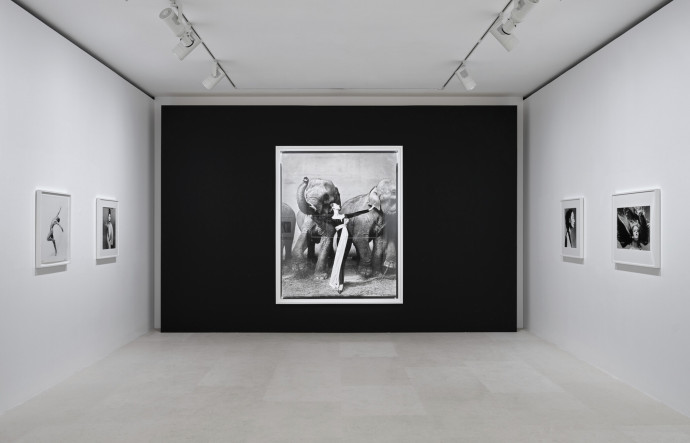 exposition gagosian richard avedon