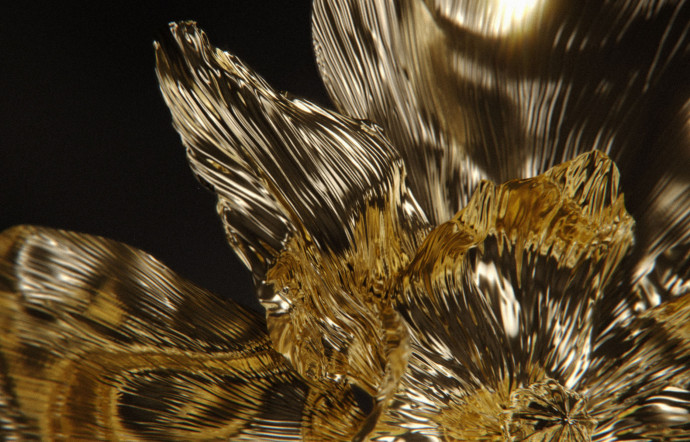 « Je voulais que mes fleurs soient à l’image de ces montres, complexes et originales, avec toute la beauté et la richesse de détails que l’on y trouve. »