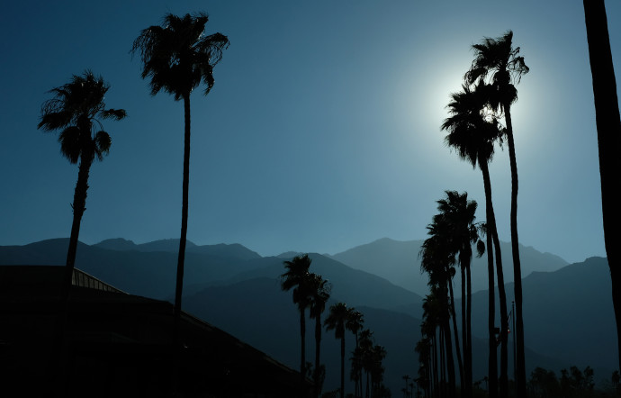 rami mekdachi lola james harper los angeles palms
