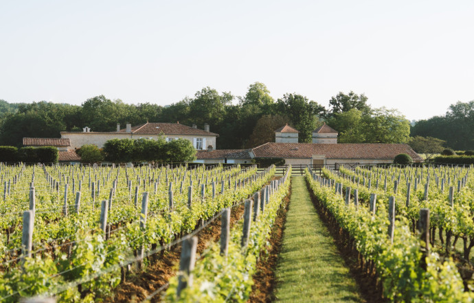 Les investisseurs venus de Chine revendent, ou parfois désertent tout simplement, leurs propriétés du vignoble bordelais, 2024 - TGL
