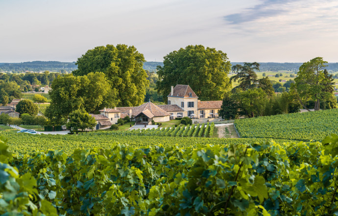 Le château Bellefont-Belcier, à Saint-Émilion, détenu par l’homme d’affaires chinois Peter Kwok.