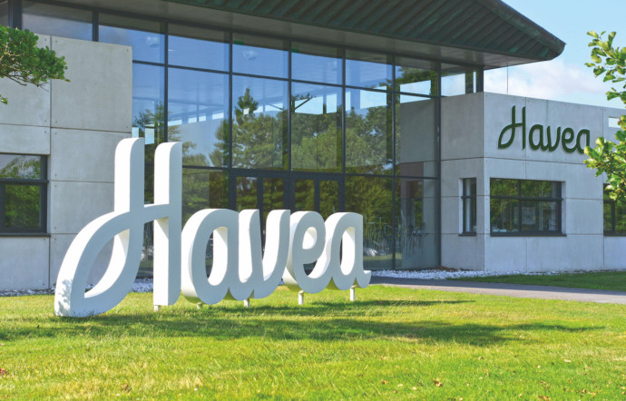 Avec ses sept marques, le groupe Havea s’est fait une place de choix sur le marché européen des suppléments nutritionnels, 2024 - TGL
