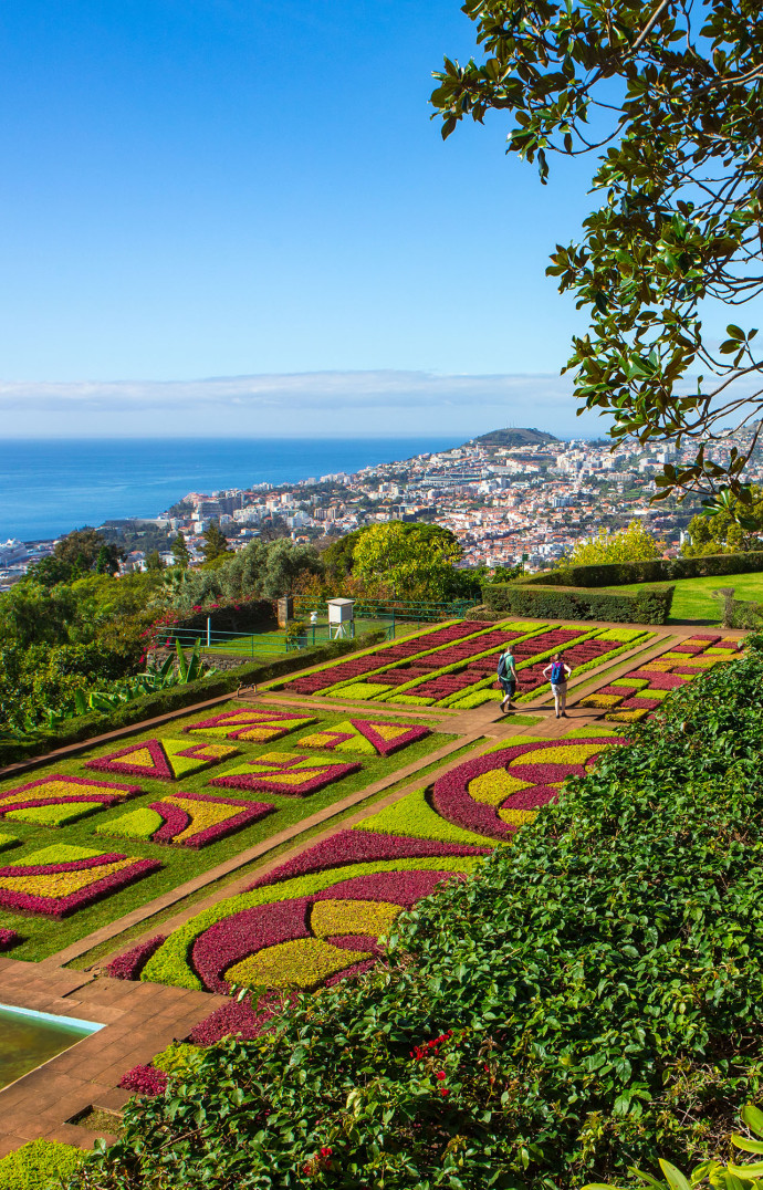 Le Jardim Botânico.