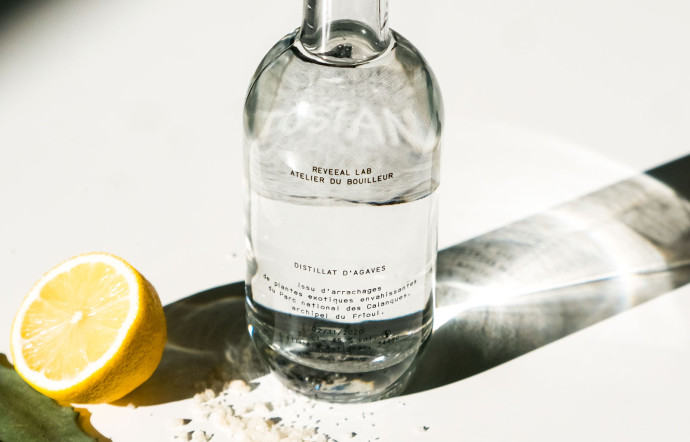 spiritueux français france josiane tequila