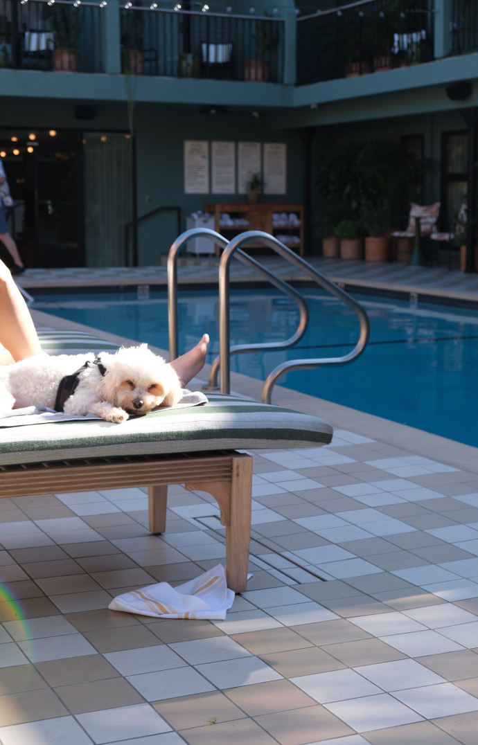 On peut également siroter sa Margarita au bord de la piscine, dog-friendly !