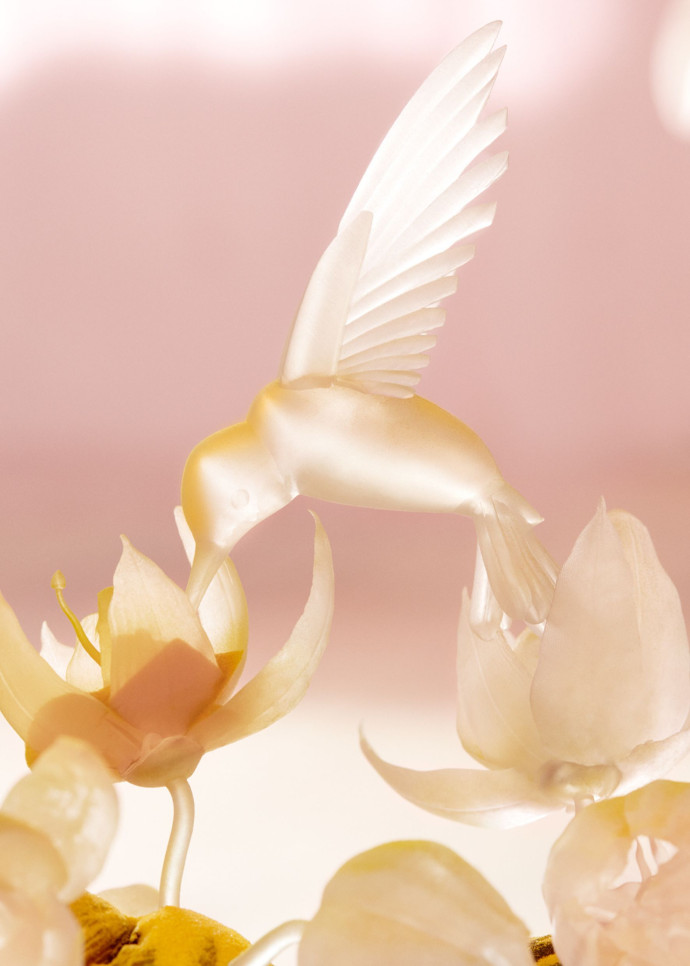 Details de The Pollination Dance.