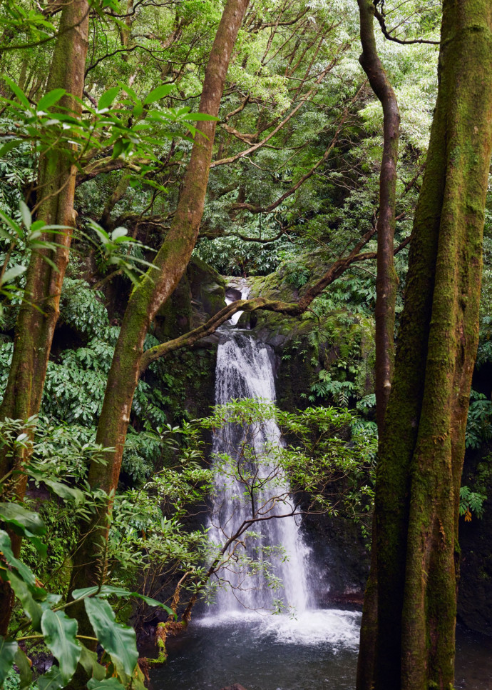 La jungle s’ouvre sur la fameuse chute d’eau, dans laquelle les moins frileux prendront plaisir à se baigner.