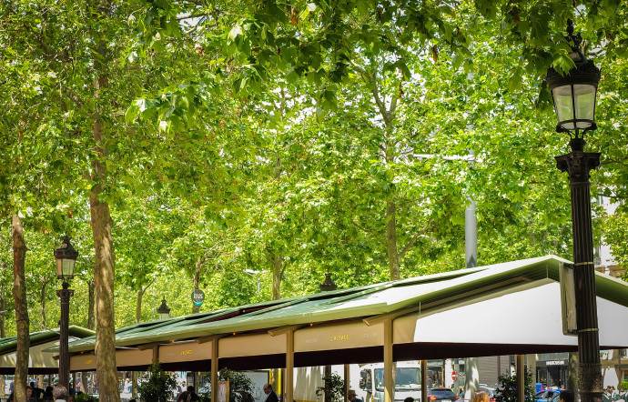 nouvelles terrasses champs-elysées ramy fischler