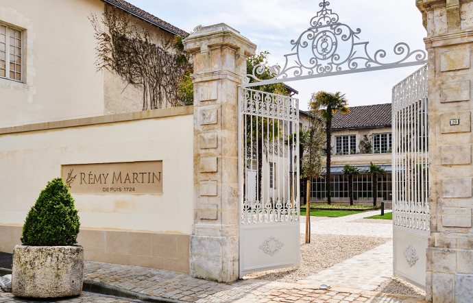 Bienvenue à la maison Rémy Martin.