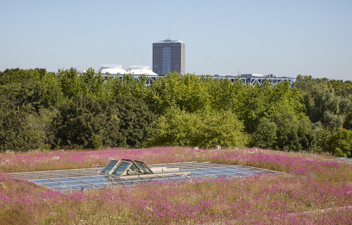 L’atrium est couvert d’une verrière photovoltaïque, laquelle crée dans cet espace une atmosphère de sous-bois.
