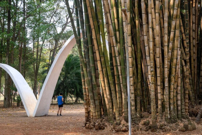 Le parc d’Ibirapuera, véritable poumon vert de la métropole, avec ses 1 584 km2 et ses lacs.